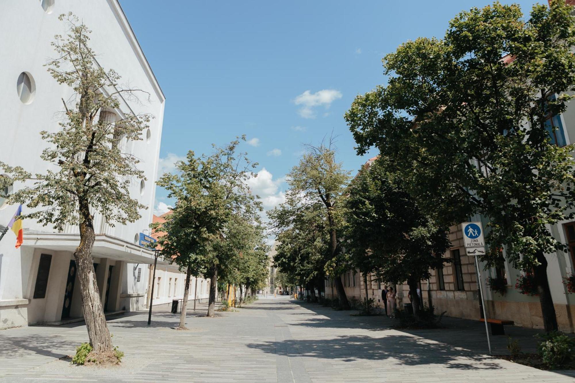Contessa Central Apartment Κλουζ-Ναπόκα Εξωτερικό φωτογραφία