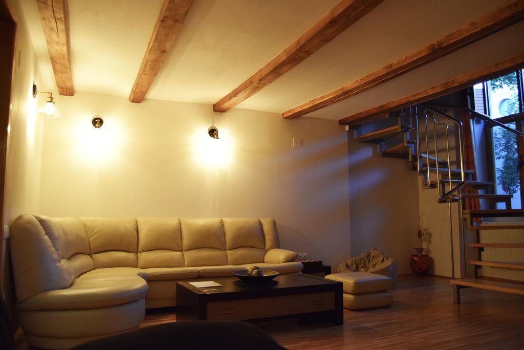 Contessa Central Apartment Κλουζ-Ναπόκα Εξωτερικό φωτογραφία