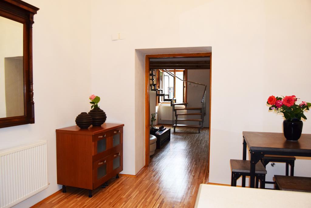 Contessa Central Apartment Κλουζ-Ναπόκα Εξωτερικό φωτογραφία