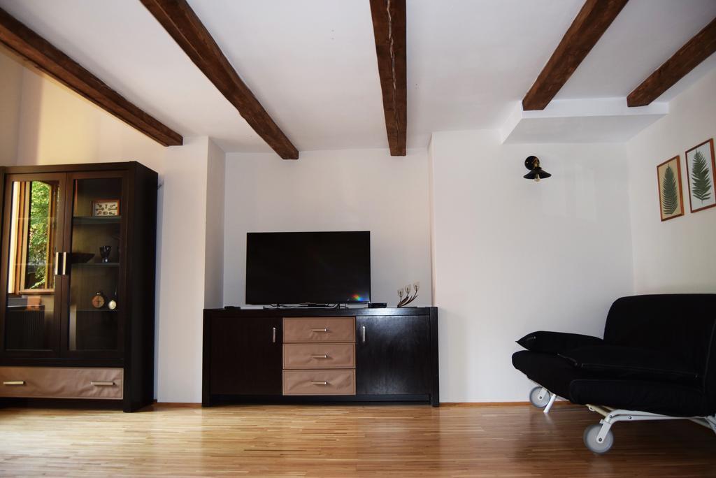 Contessa Central Apartment Κλουζ-Ναπόκα Εξωτερικό φωτογραφία