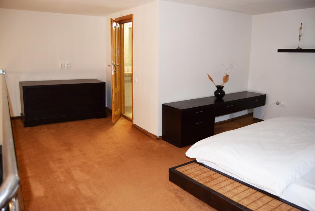 Contessa Central Apartment Κλουζ-Ναπόκα Εξωτερικό φωτογραφία