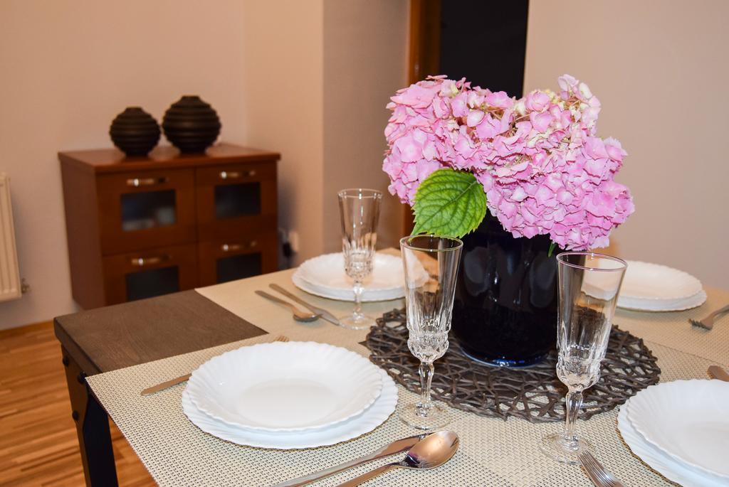 Contessa Central Apartment Κλουζ-Ναπόκα Εξωτερικό φωτογραφία