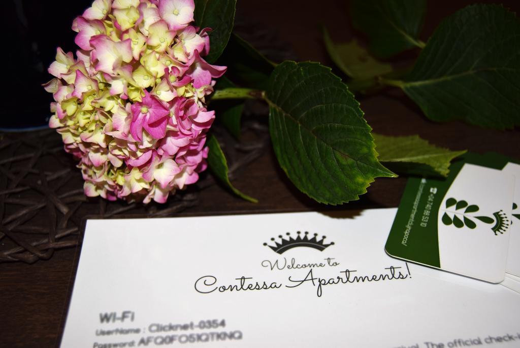 Contessa Central Apartment Κλουζ-Ναπόκα Εξωτερικό φωτογραφία