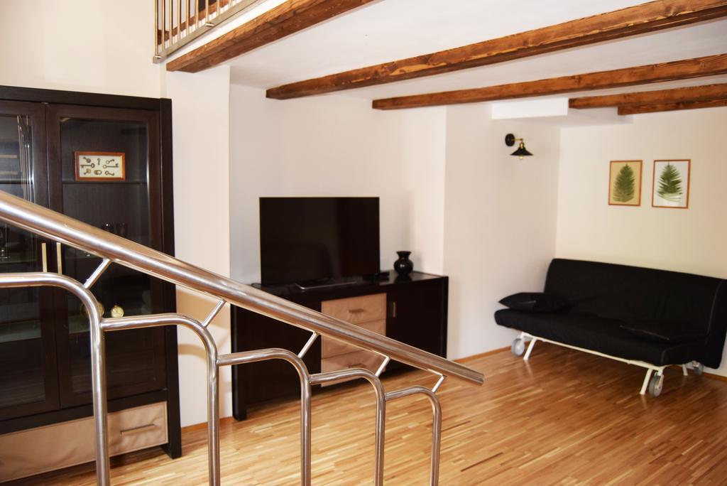 Contessa Central Apartment Κλουζ-Ναπόκα Εξωτερικό φωτογραφία