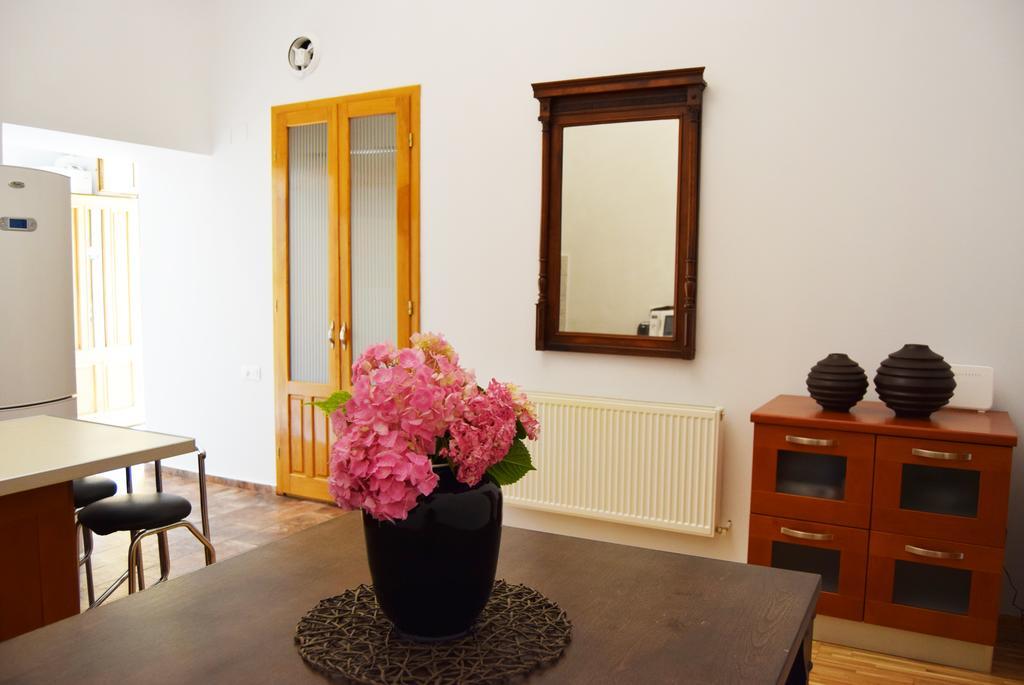 Contessa Central Apartment Κλουζ-Ναπόκα Εξωτερικό φωτογραφία